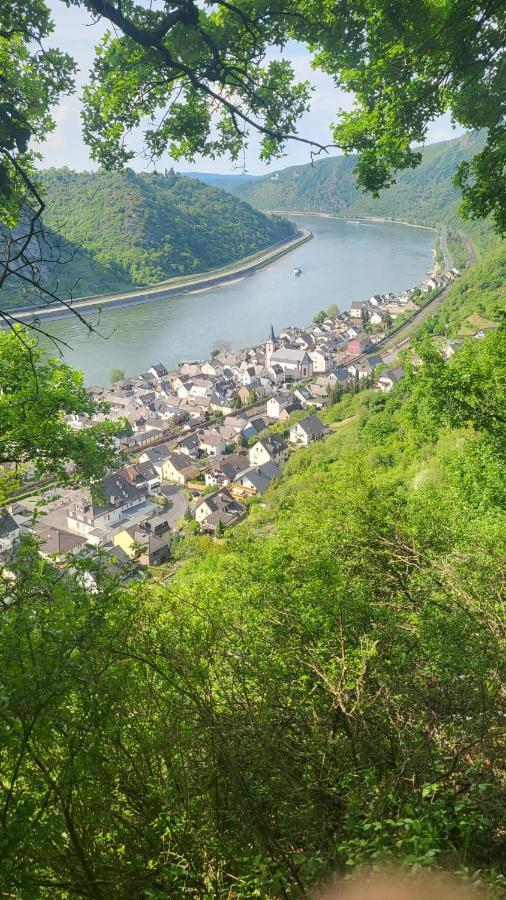 Ferienwohnung zum Rheinblick Kestert Exterior foto